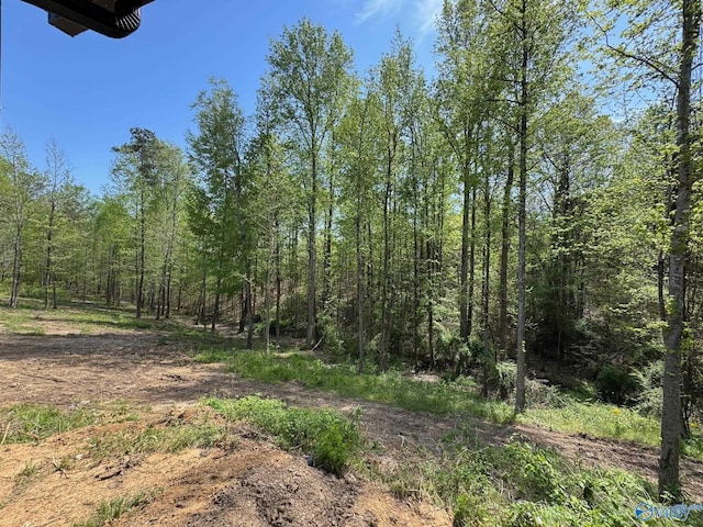 view of local wilderness featuring a forest view