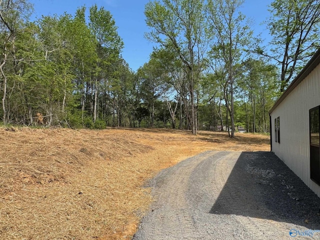 view of road
