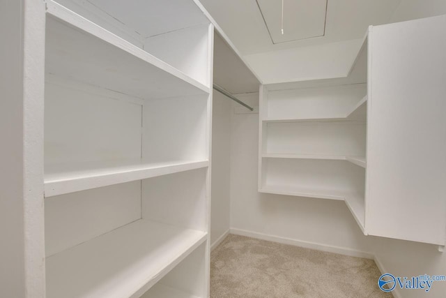 spacious closet with attic access and carpet