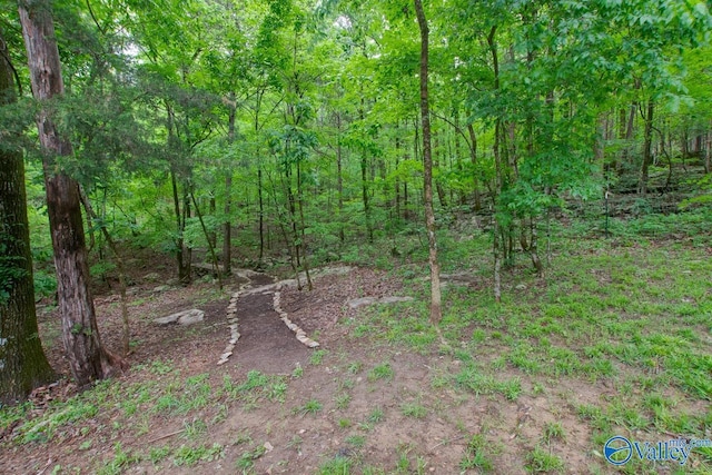 view of local wilderness featuring a view of trees