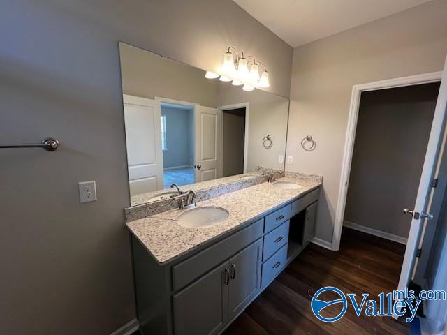 bathroom with hardwood / wood-style flooring and vanity