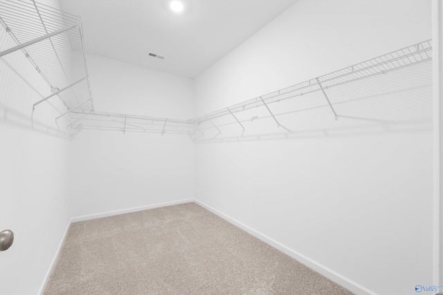 walk in closet with carpet