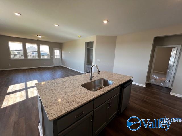 kitchen featuring stainless steel dishwasher, dark hardwood / wood-style floors, sink, and an island with sink