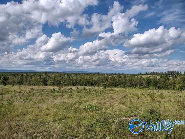 Listing photo 2 for 617ACRES Beaird Rd, Gadsden AL 35903