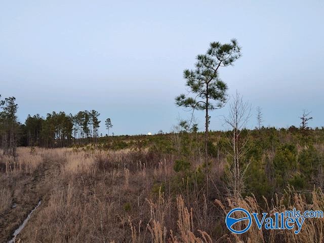 Listing photo 3 for 617ACRES Beaird Rd, Gadsden AL 35903