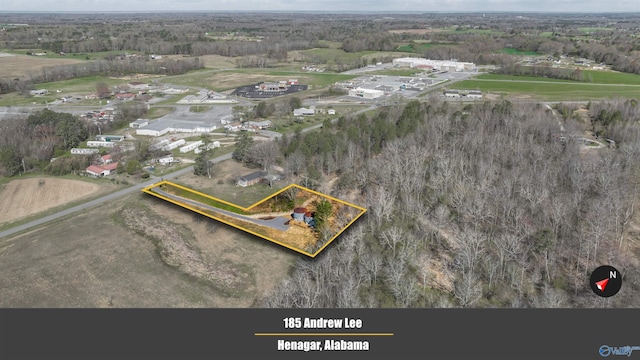 bird's eye view