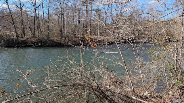 Listing photo 2 for LOT11 County Road 137, Cedar Bluff AL 35959