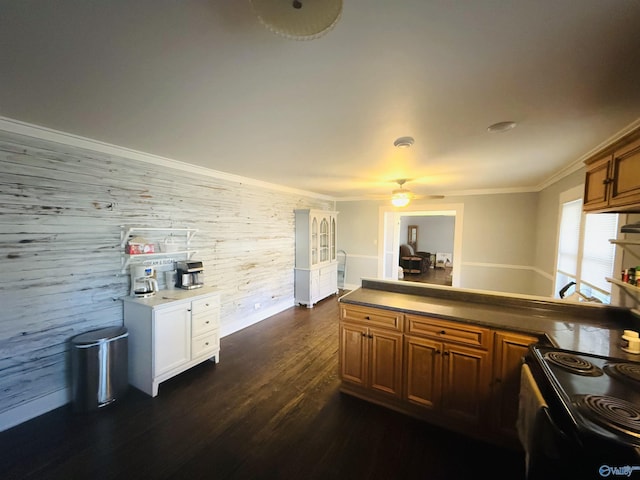 kitchen with ceiling fan, dark hardwood / wood-style floors, crown molding, electric stove, and wooden walls