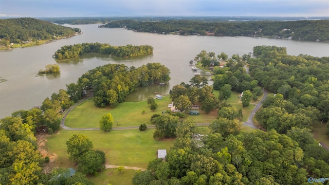 drone / aerial view featuring a water view