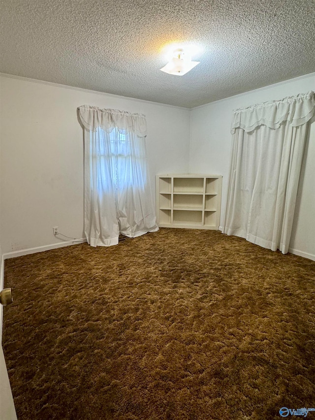 empty room featuring a textured ceiling and carpet flooring