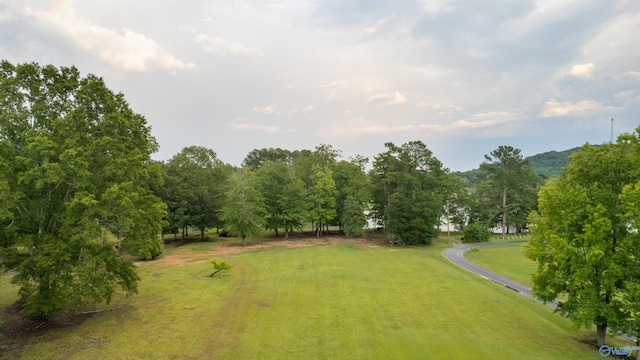 view of property's community with a lawn