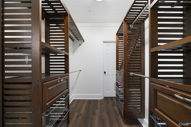 691 County Road 106, Leesburg, AL 35983 - walk in closet with dark wood finished floors