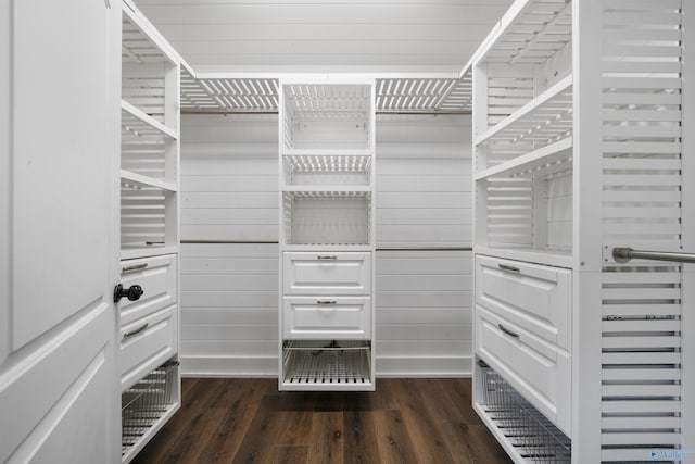 691 County Road 106, Leesburg, AL 35983 - spacious closet with dark wood-style floors