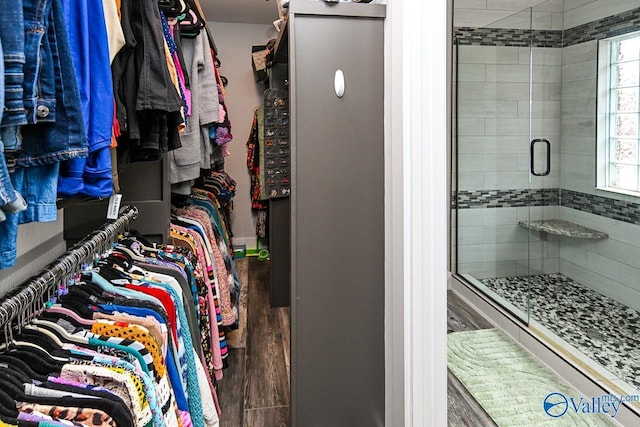 spacious closet featuring dark wood-type flooring