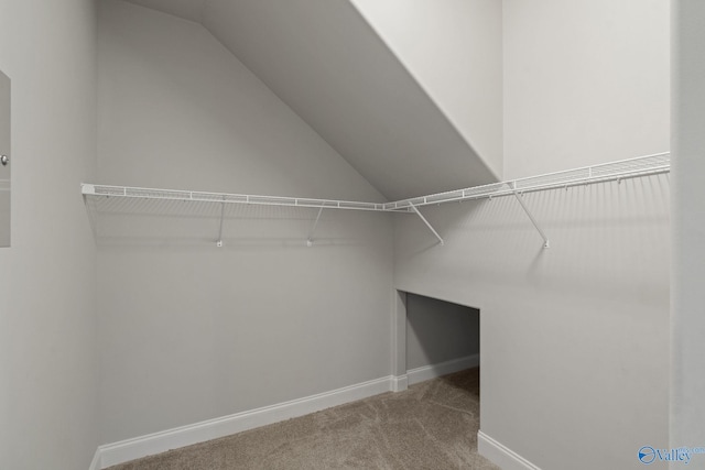 walk in closet featuring vaulted ceiling and carpet flooring