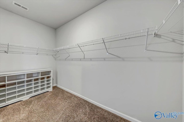 walk in closet with carpet