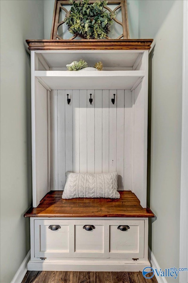 mudroom featuring dark hardwood / wood-style flooring