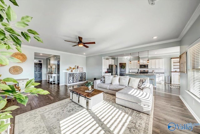 living room featuring hardwood / wood-style floors, ceiling fan, sink, and crown molding