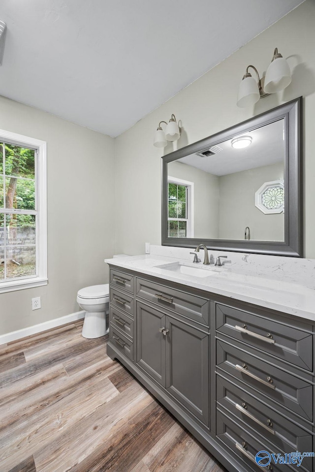 bathroom featuring vanity, toilet, and hardwood / wood-style floors