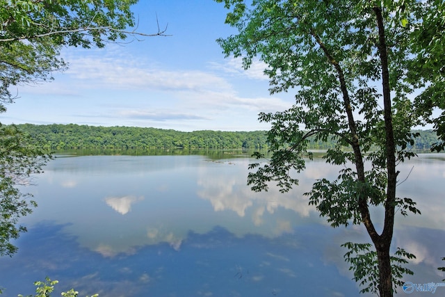 property view of water