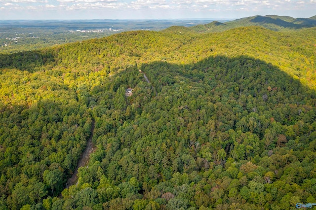 232ACRES Highland Woods, Jacksonville, AL 36265