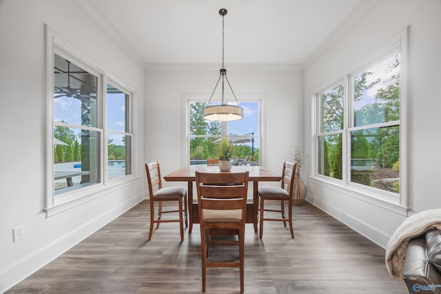 27 Watson Grande Way, Owens Cross Roads, AL 35763 - dining space with healthy amount of natural light, dark wood-style floors, and baseboards