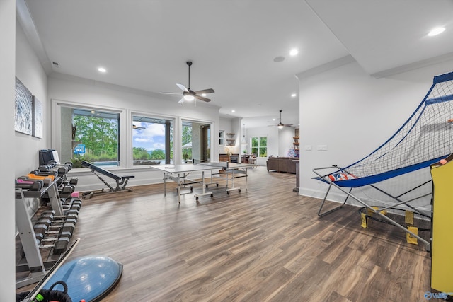 27 Watson Grande Way, Owens Cross Roads, AL 35763 - playroom with ceiling fan, wood finished floors, baseboards, and recessed lighting
