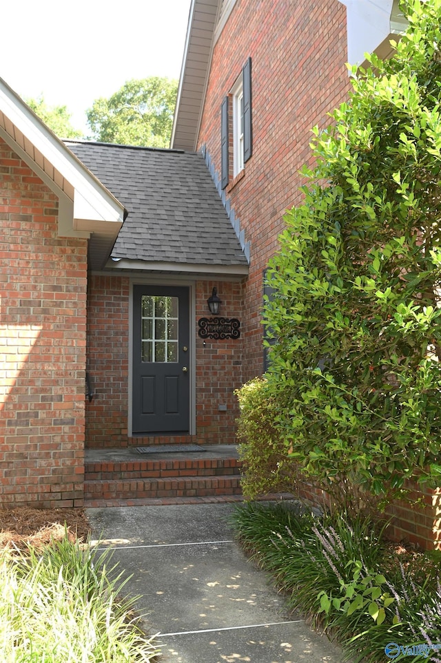 view of exterior entry featuring a shingled roof and brick siding