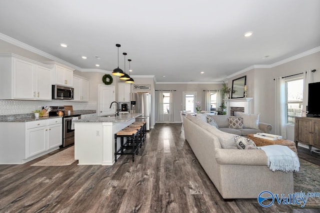 living room with sink, dark wood-type flooring, and a healthy amount of sunlight