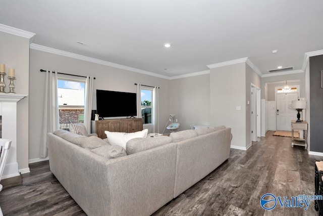 living room with crown molding and wood-type flooring