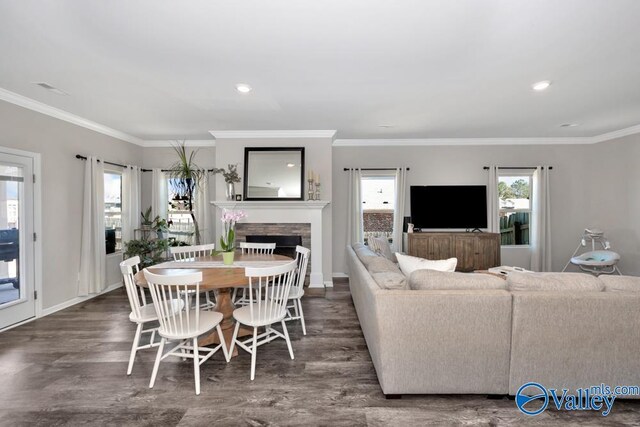 living room featuring a stone fireplace, dark wood-type flooring, and a healthy amount of sunlight