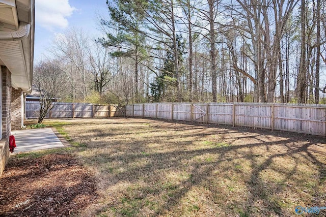 view of yard featuring a patio and a fenced backyard