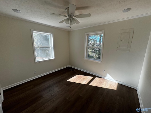 empty room with ceiling fan, dark hardwood / wood-style floors, electric panel, a textured ceiling, and ornamental molding