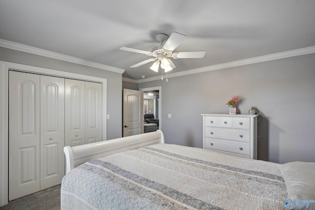 bedroom with ceiling fan, ornamental molding, a closet, and carpet flooring