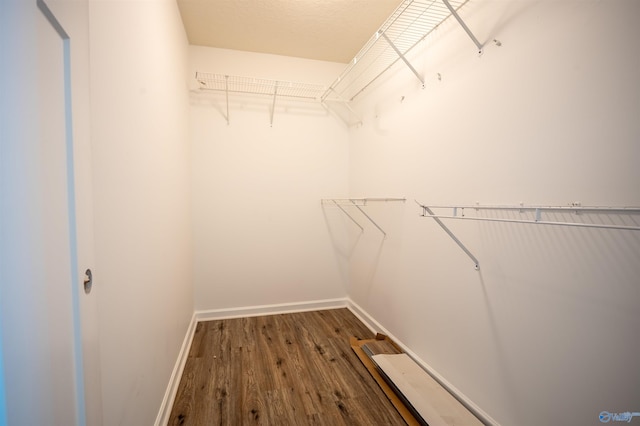 spacious closet with wood-type flooring