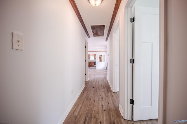 corridor with light wood-type flooring and ornamental molding