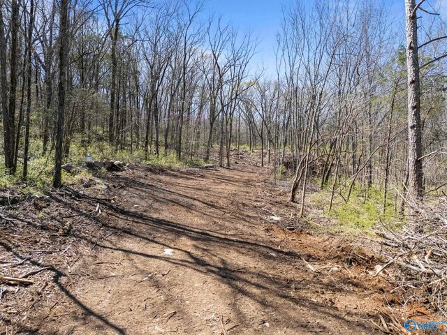 4.6ACRES Pulaski Pike, Huntsville, AL 35810