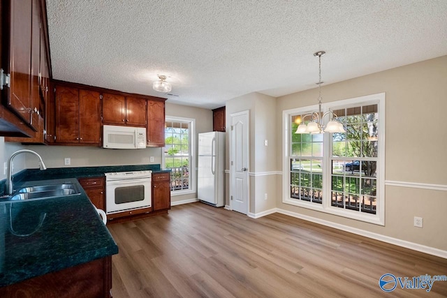 kitchen with an inviting chandelier, dark countertops, wood finished floors, a sink, and white appliances