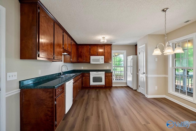 kitchen featuring dark wood-style floors, dark countertops, a sink, white appliances, and a textured ceiling
