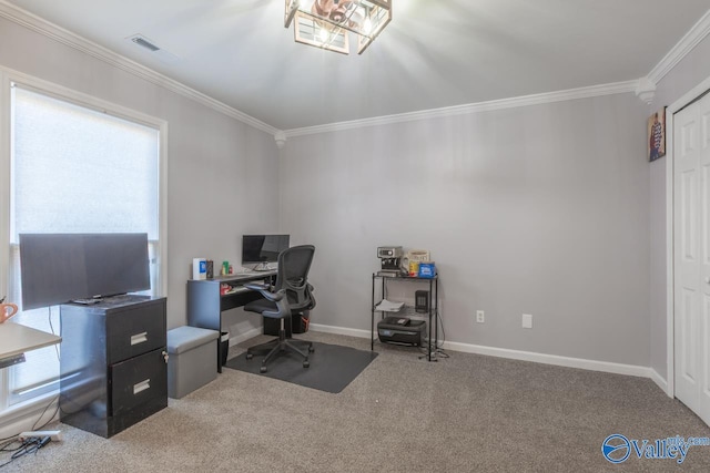 carpeted home office featuring visible vents, baseboards, and ornamental molding