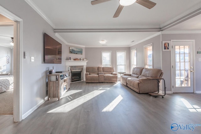 living area featuring baseboards, a fireplace, wood finished floors, and crown molding