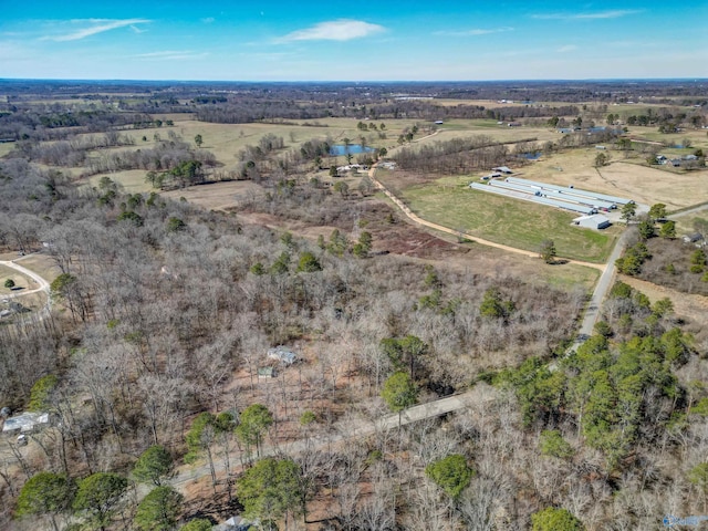 drone / aerial view featuring a rural view