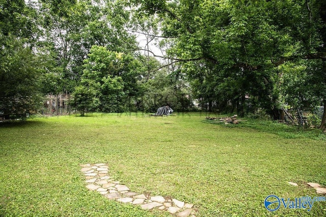 525 Quincy St, Scottsboro, AL 35768 - view of green lawn
