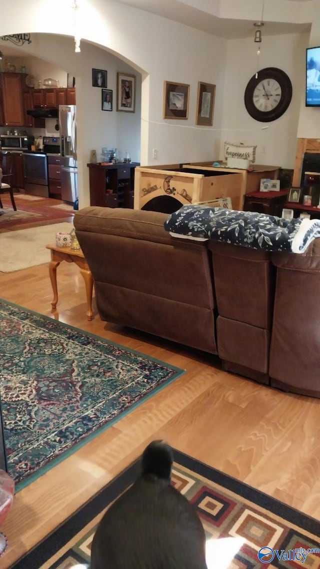 living room featuring hardwood / wood-style flooring