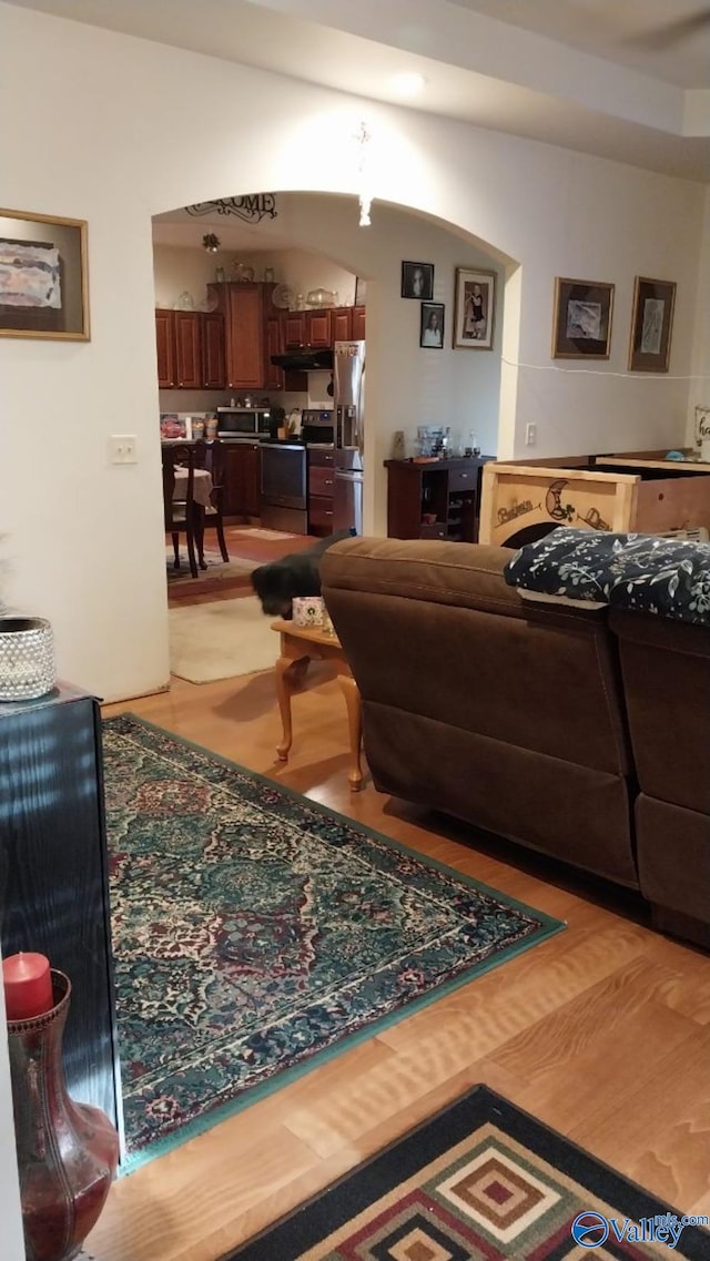 living room featuring wood-type flooring