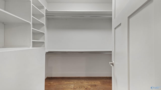 walk in closet with hardwood / wood-style floors