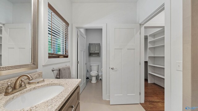 bathroom with vanity, wood-type flooring, and toilet