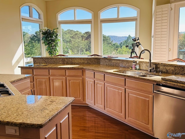 kitchen featuring stainless steel dishwasher, plenty of natural light, dark wood-type flooring, and sink