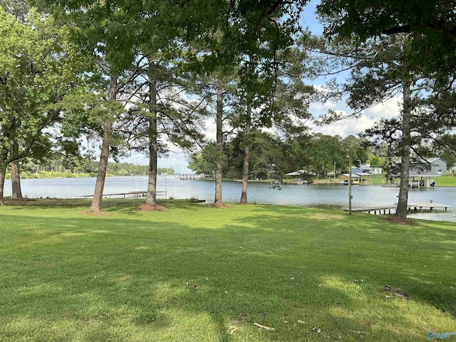 35 County Road 568, Leesburg, AL 35983 - view of grassy yard with a water view