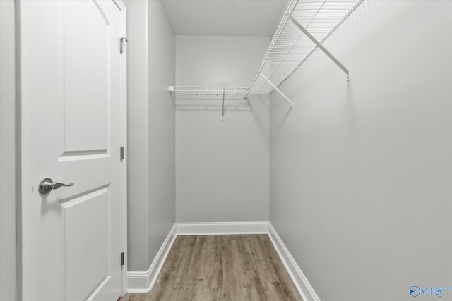 walk in closet featuring hardwood / wood-style floors